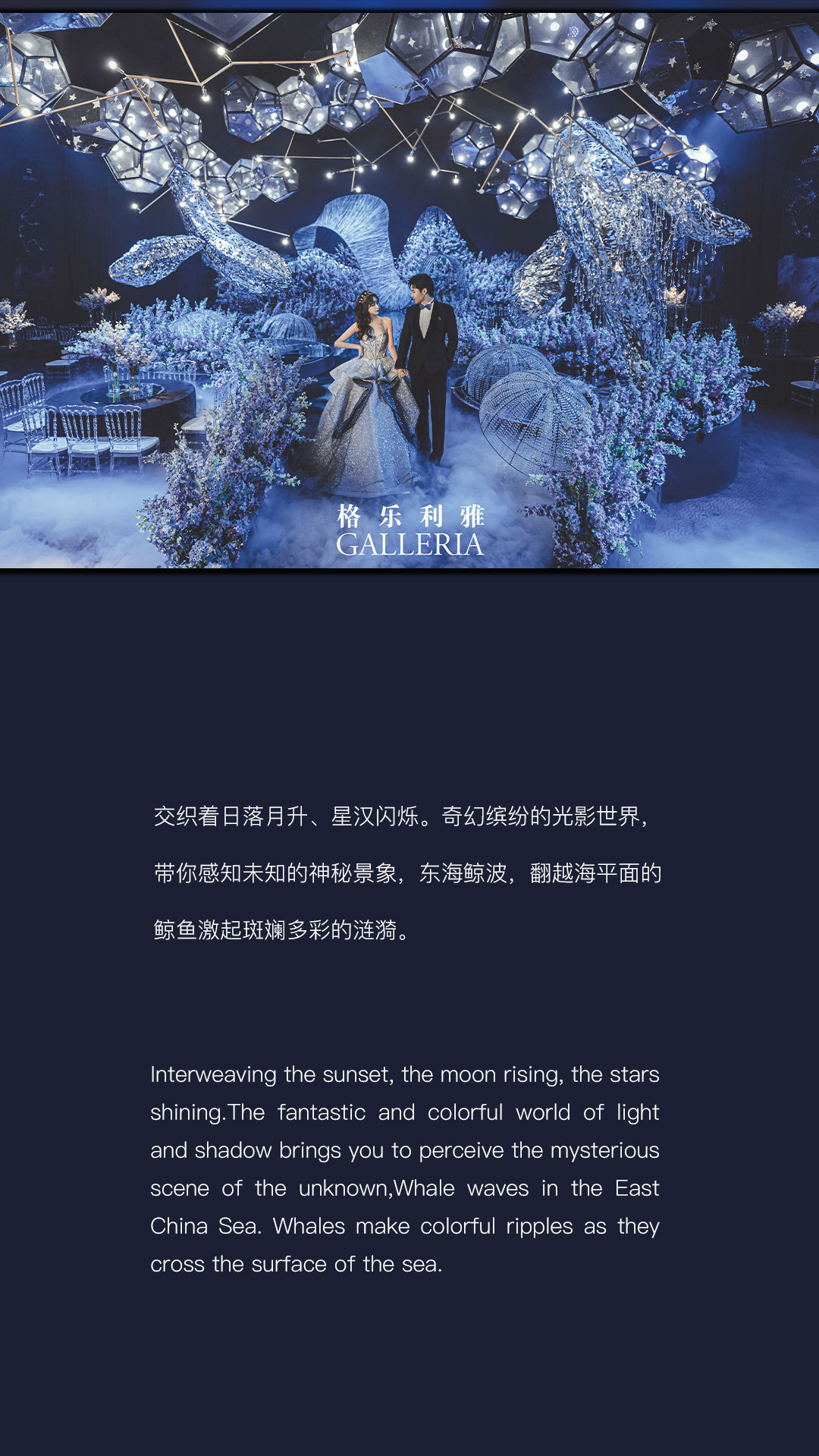 海洋之谜