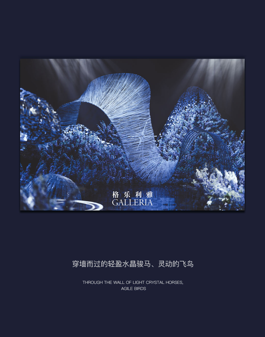 海洋之谜