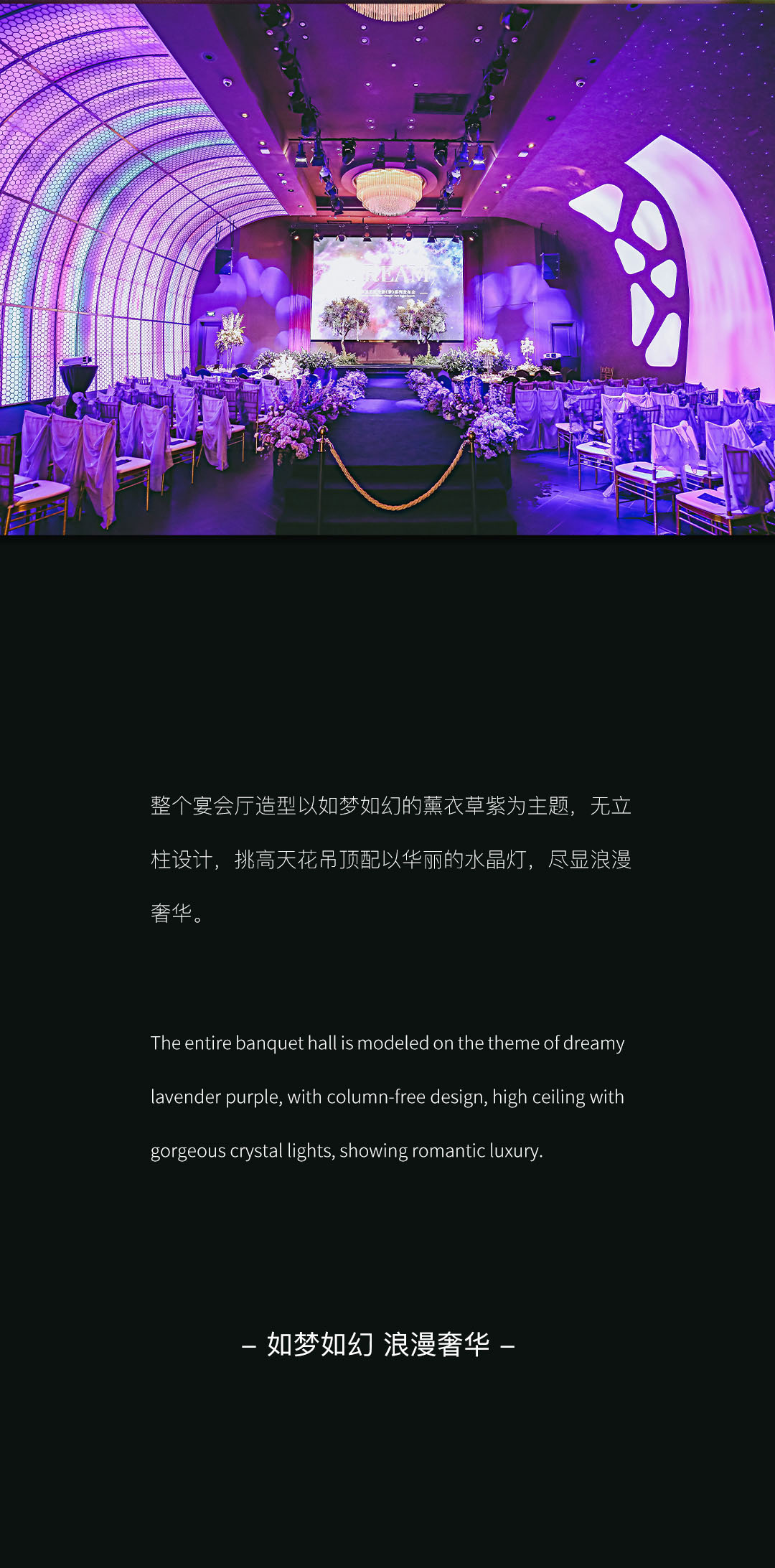 梦系列