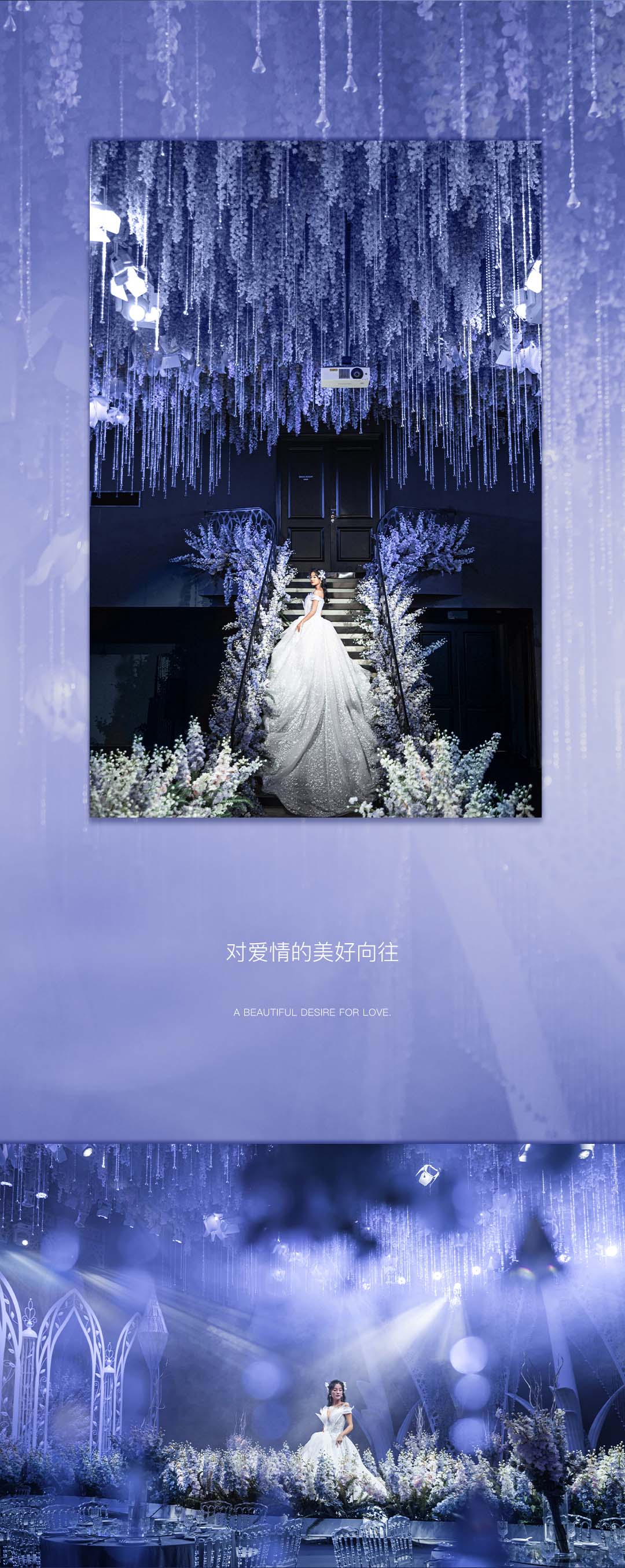 梦幻花园