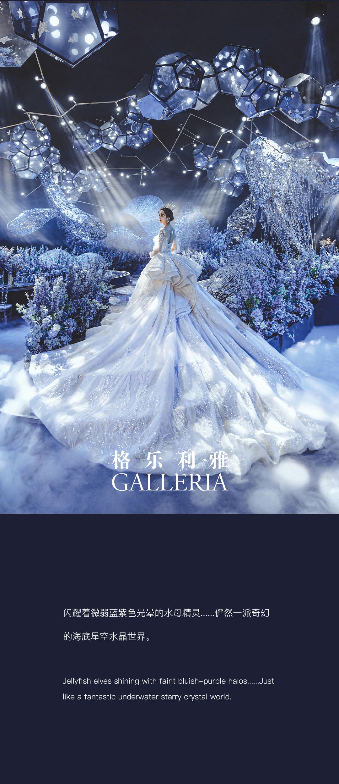 海洋之谜