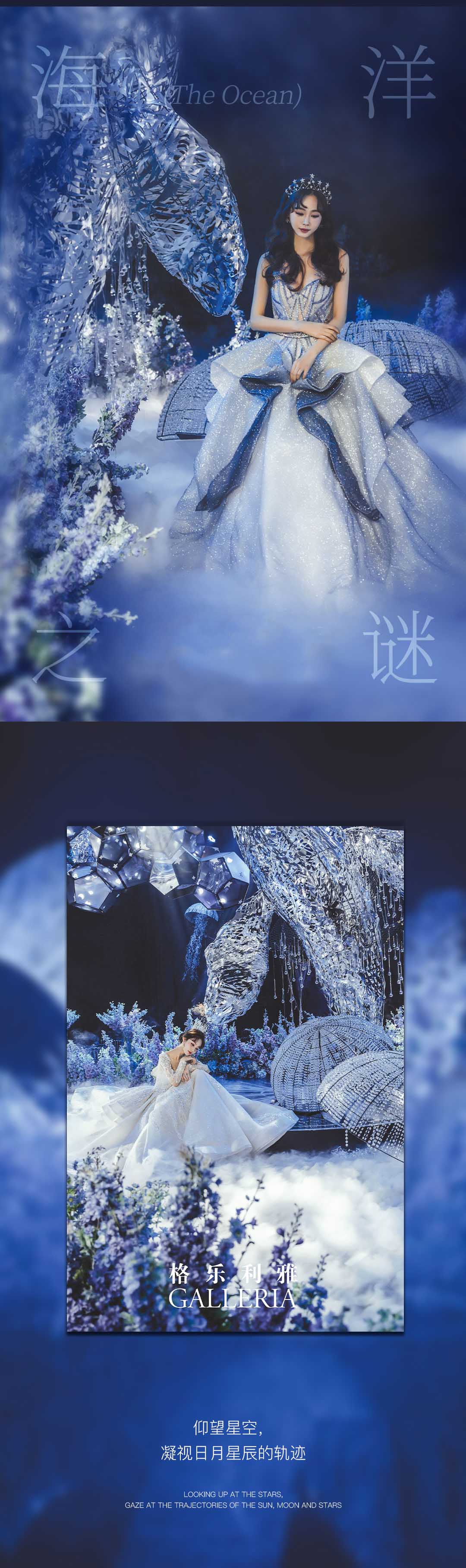 海洋之谜