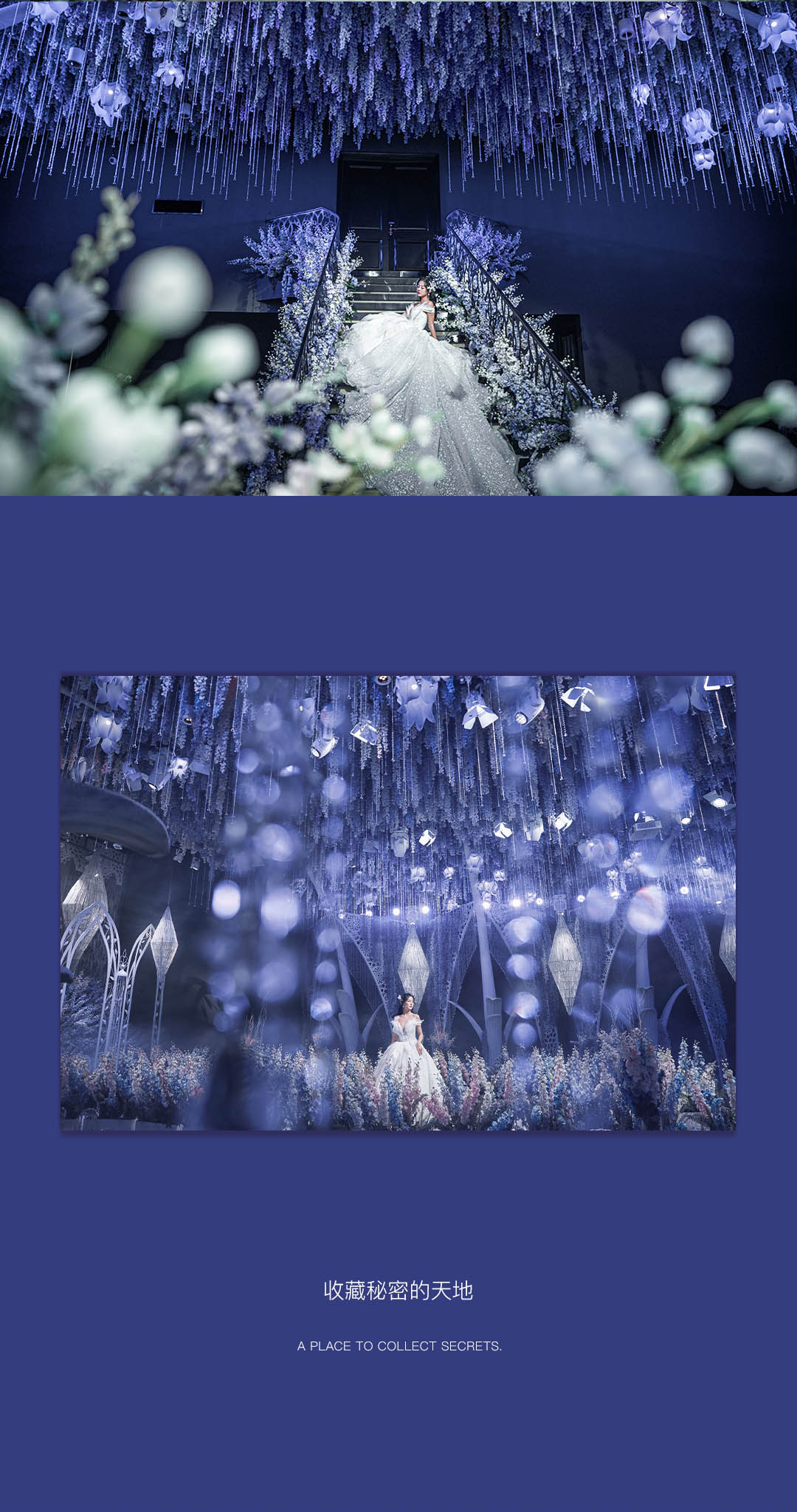 梦幻花园